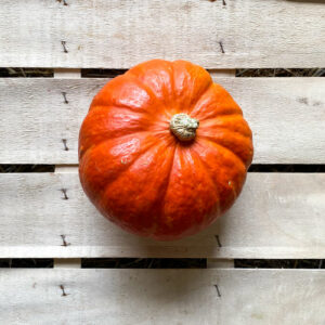 Hokaido Kürbis